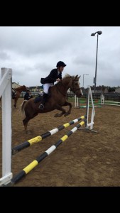 Showjumping 2