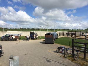 FYHP Traveller Horse Welfare Clinic April 2017